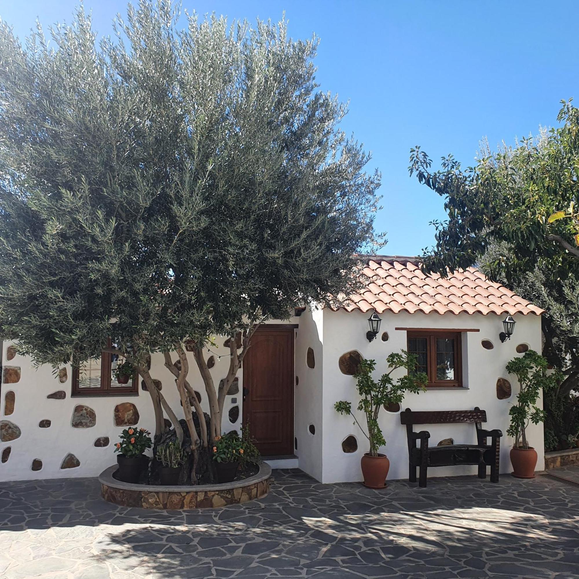 La Gallania De Papa Pepe Santa Lucia Exteriér fotografie